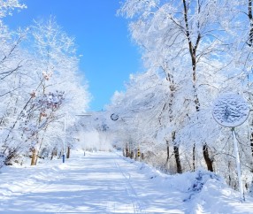 温馨！零下37度，胡明轩冰天雪地中，给球迷签名