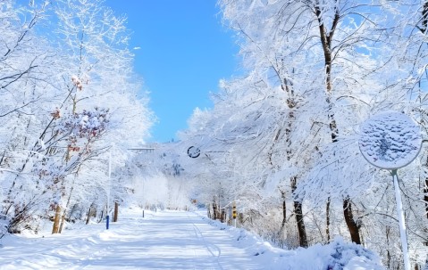 温馨！零下37度，胡明轩冰天雪地中，给球迷签名