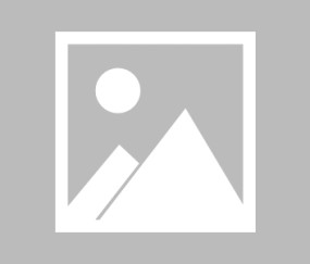 开云登录-【早报】红军惨案！图赫尔等渣叔一起下课？